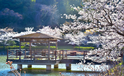 愛宕山公園